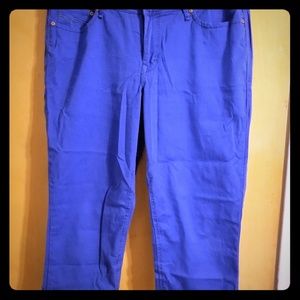 Blue Jean-like ankle pants